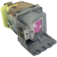 ACER FSV1343 Lampe mit Modul