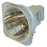 ACER P7270i Lampe ohne Modul