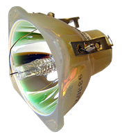 BENQ 59.J9301.CB1 Lampe ohne Modul