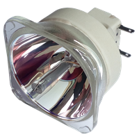 BENQ SH963 (Lamp 1) Lampe ohne Modul