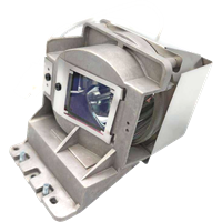 BENQ W2710i Lampe mit Modul