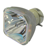 CANON LV-7295 Lampe ohne Modul