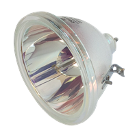 CANON LV-LP02 (2012A001AA) Lampe ohne Modul