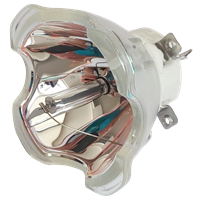 CANON RS-LP06 (4965B001) Lampe ohne Modul