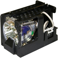 CTX EzPro 702 Lampe mit Modul