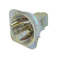 EIKI EIP-5000 RIGHT Lampe ohne Modul