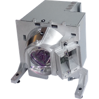 EIKI EK-601W Lampe mit Modul