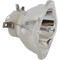 EPSON EB-1440UT Lampe ohne Modul