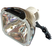 INFOCUS LP860 Lampe ohne Modul