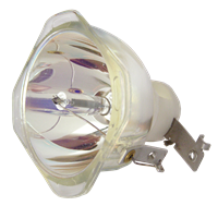 INFOCUS SP-LAMP-026 Lampe ohne Modul