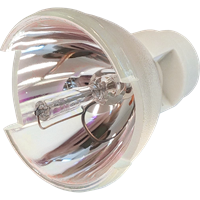 INFOCUS SP-LAMP-090 Lampe ohne Modul