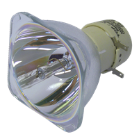 NEC M302WS Lampe ohne Modul