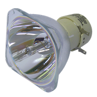 NEC M333XS Lampe ohne Modul