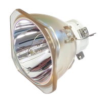 NEC NP-PA853W Lampe ohne Modul