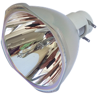NEC NP502W Lampe ohne Modul
