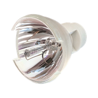 OPTOMA BL-FP330B (DE.5811116911-SOT) Lampe ohne Modul