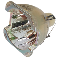 OPTOMA BL-FU310D (SP.70B01GC01) Lampe ohne Modul