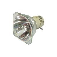 OPTOMA DH400 Lampe ohne Modul