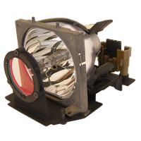 OPTOMA BL-FP120C (SP.86801.001) Lampe mit Modul