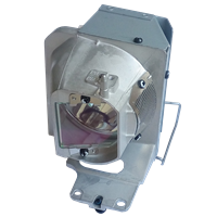 OPTOMA BL-FP220B (SP.78B01GC01) Lampe mit Modul