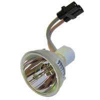 OPTOMA VDDVGG Lampe ohne Modul