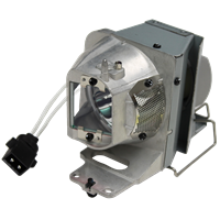 OPTOMA VDUHDSZ+ Lampe mit Modul