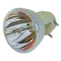 OPTOMA W317UST Lampe ohne Modul