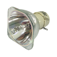 OPTOMA X319USTi Lampe ohne Modul