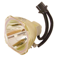 PANASONIC PT-BX11 Lampe ohne Modul