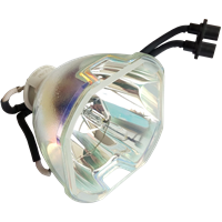 PANASONIC PT-DW5000E Lampe ohne Modul