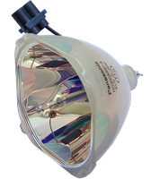 PANASONIC PT-DW6300ELS Lampe ohne Modul