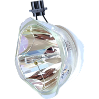 PANASONIC PT-DW750BE Lampe ohne Modul