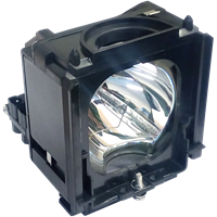 SAMSUNG HL-S6165WX/XAA Lampe mit Modul