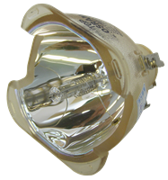 SAMSUNG SP-A900B Lampe ohne Modul