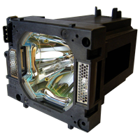 SANYO PLC-XP100BKL Lampe mit Modul