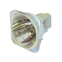 SANYO POA-LMP118 (610 337 1764) Lampe ohne Modul