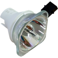 SHARP PG-LS3000 Lampe ohne Modul
