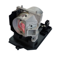 TRIUMPH BOARD PJ250-W Lampe mit Modul