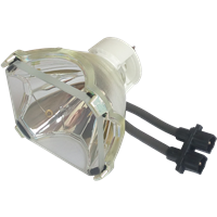 UTAX DXL 5032 Lampe ohne Modul