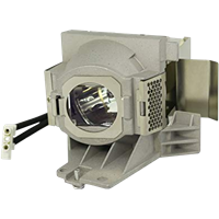 VIEWSONIC PJD7526W-S Lampe mit Modul