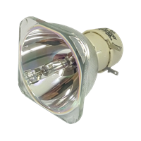 VIEWSONIC PJD7828HDL Lampe ohne Modul