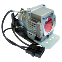 VIEWSONIC RLC-030 Lampe mit Modul