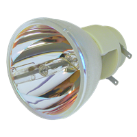 VIVITEK DW351 Lampe ohne Modul